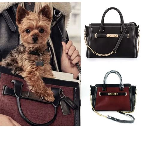 lv backpack for dog|designer dog carrier bags.